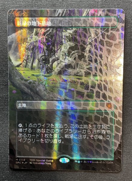 画像1: 《実物写真掲載商品》《Foil》《ドラゴンスケイル》《ボーダーレス》Verdant Catacombs/新緑の地下墓地 《状態:NM》#1141 (1)