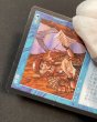 画像3: 《実物写真掲載商品》Intuition/直観 《状態:MP》#1142 (3)