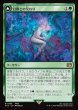 画像1: Esper Origins/幻獣との交わり+Summon: Esper Maduin/召喚：幻獣マディン (1)