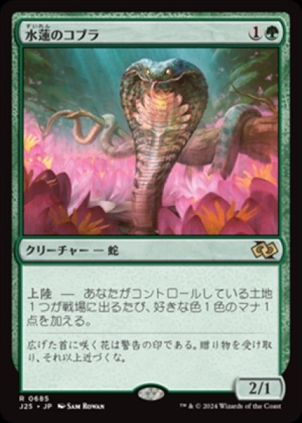 画像1: Lotus Cobra/水蓮のコブラ (1)
