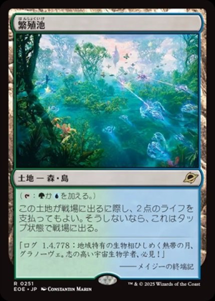 画像1: Breeding Pool/繁殖池 (1)