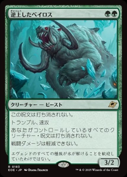 画像1: Frenzied Baloth/逆上したベイロス (1)