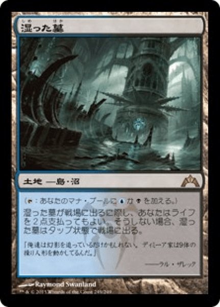 画像1: 《Foil》Watery Grave/湿った墓 (1)