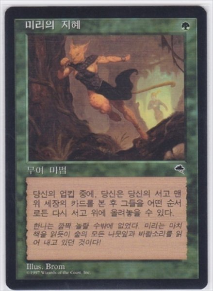 画像1: 《韓国語版》Mirri's Guile/ミリーの悪知恵 (1)