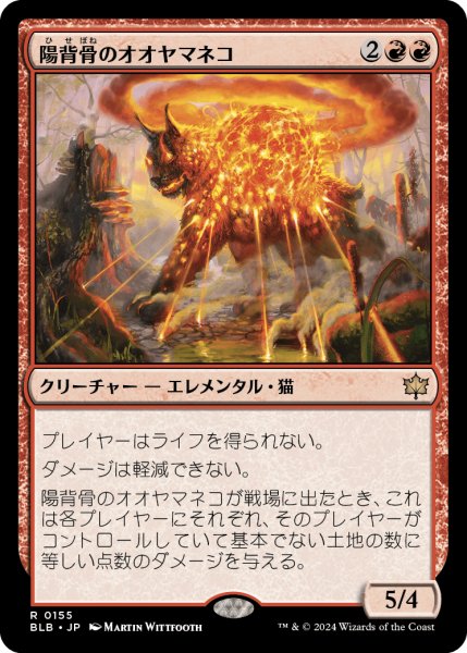 画像1: Sunspine Lynx/陽背骨のオオヤマネコ《155》 (1)