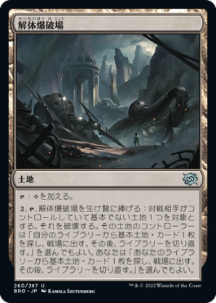 画像1: 《Foil》Demolition Field/解体爆破場《260》 (1)