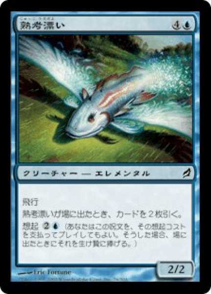 画像1: 《Foil》Mulldrifter/熟考漂い (1)
