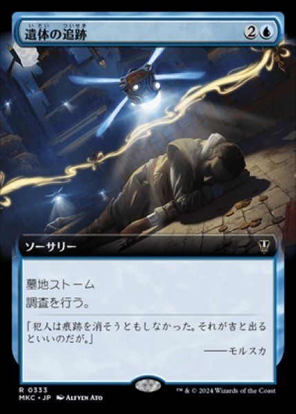 画像1: 《拡張アート》Follow the Bodies/遺体の追跡《333》 (1)