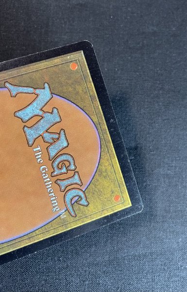 画像3: 《実物写真掲載商品》Serra's Sanctum/セラの聖域 《状態MP》#1137 (3)