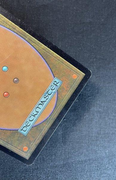 画像4: 《実物写真掲載商品》Serra's Sanctum/セラの聖域 《状態MP》#1137 (4)