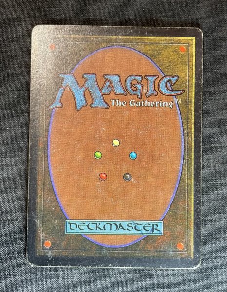 画像2: 《実物写真掲載商品》Argivian Archaeologist《状態:Poor》#1147 (2)