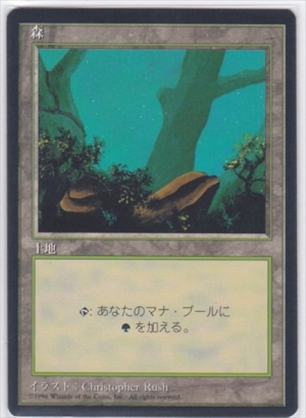 画像2: 《4版日本語黒枠》Forest/森《Tree Behind Rock》 (2)