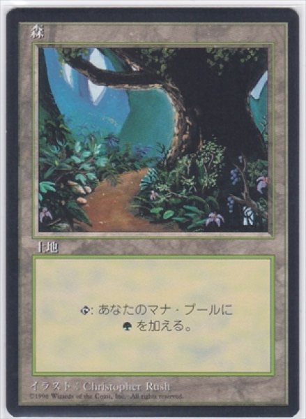 画像1: 《4版日本語黒枠》Forest/森《Path》 (1)