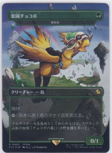 画像1: 《Foil》《ボーダーレス》Birds of Paradise/極楽鳥《438》 (1)