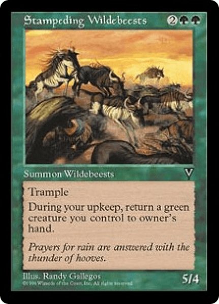 画像1: Stampeding Wildebeests/暴走するヌー (1)