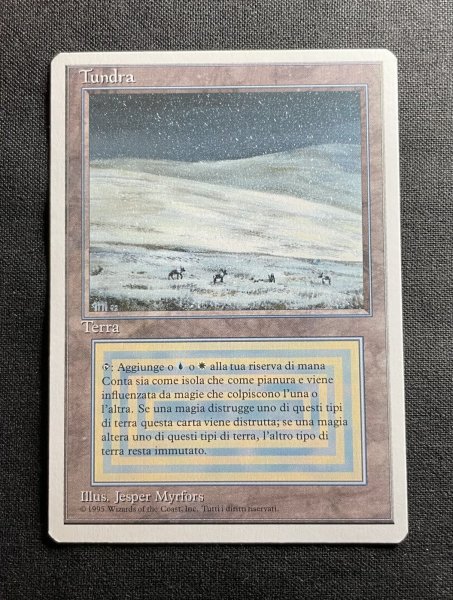 画像1: 《実物写真掲載商品》Tundra《状態:NM-》#1150 (1)