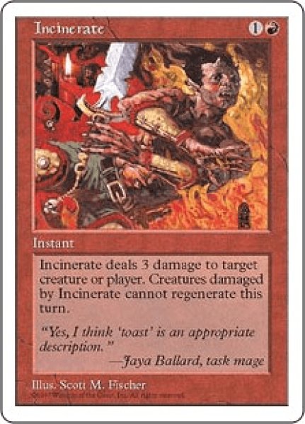 画像1: Incinerate/火葬 (1)