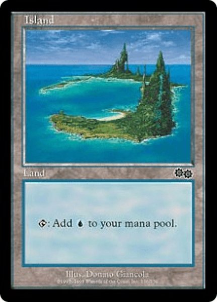 画像1: Island/島《336》 (1)