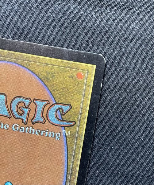 画像6: 《実物写真掲載商品》Survival of the Fittest/適者生存《状態:MP》 #1156 (6)