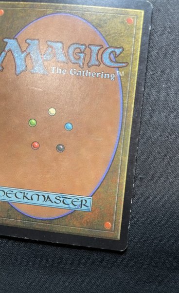 画像7: 《実物写真掲載商品》Survival of the Fittest/適者生存《状態:MP》 #1156 (7)