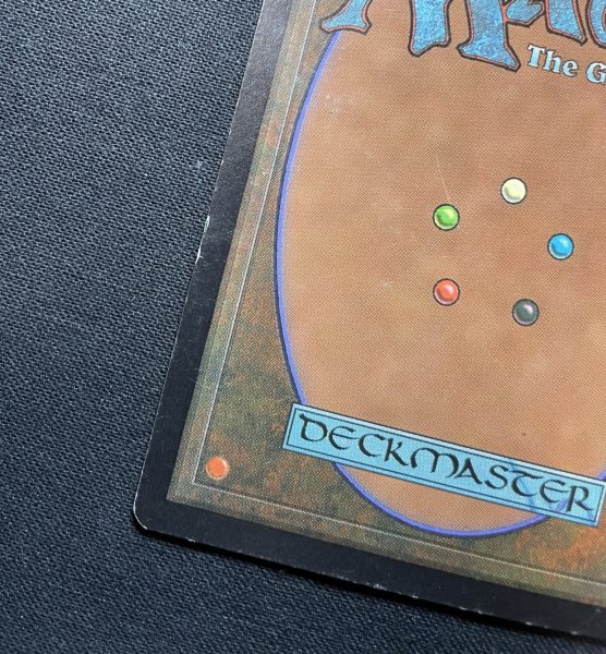 画像8: 《実物写真掲載商品》Survival of the Fittest/適者生存《状態:MP》 #1156 (8)