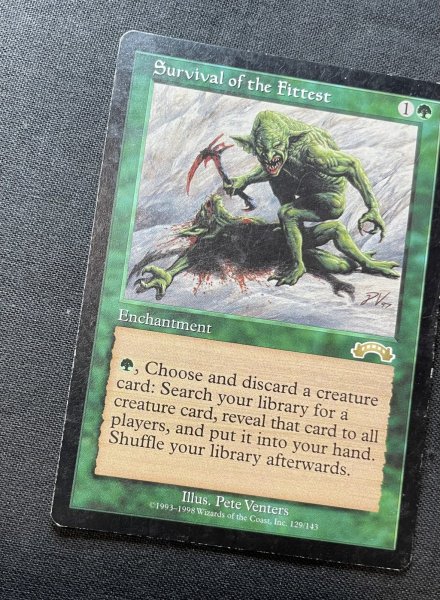 画像4: 《実物写真掲載商品》Survival of the Fittest/適者生存《状態:MP》 #1156 (4)