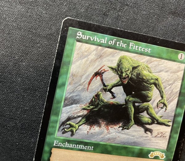 画像5: 《実物写真掲載商品》Survival of the Fittest/適者生存《状態:MP》 #1156 (5)