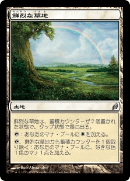 画像1: 《Foil》Vivid Meadow/鮮烈な草地 (1)