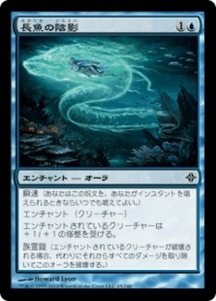画像1: 《Foil》Eel Umbra/長魚の陰影 (1)