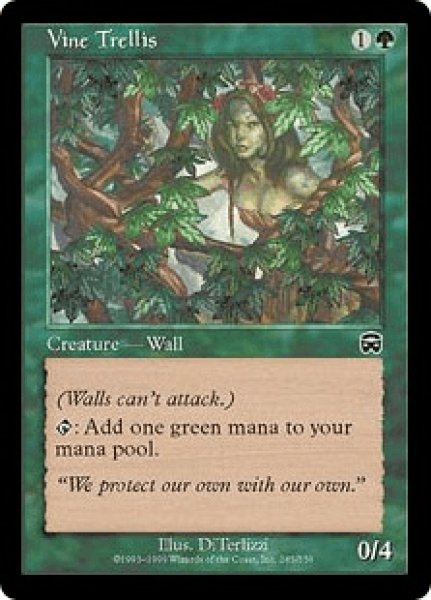画像1: 《Foil》Vine Trellis/ぶどう棚《継ぎ有》 (1)
