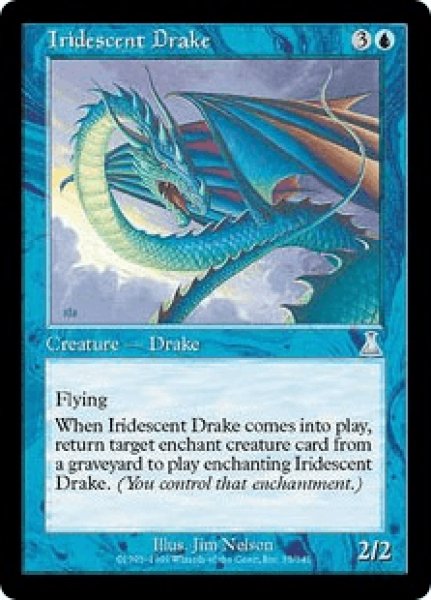 画像1: Iridescent Drake/玉虫色のドレイク (1)
