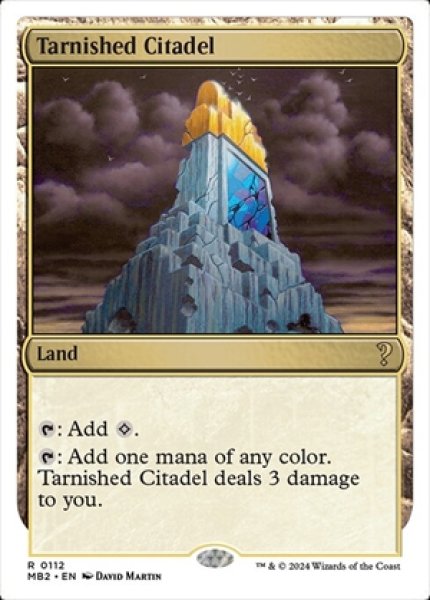 画像1: Tarnished Citadel/色あせた城塞 (1)