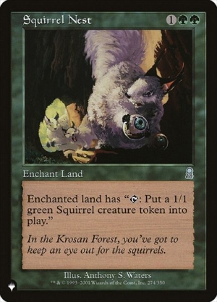 画像1: Squirrel Nest/リスの巣 (1)