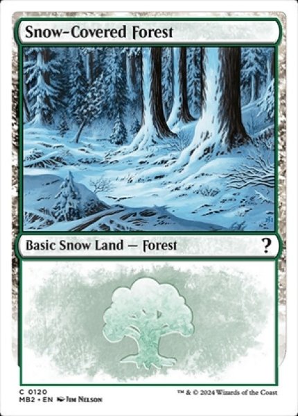 画像1: Snow-Covered Forest/冠雪の森 (1)