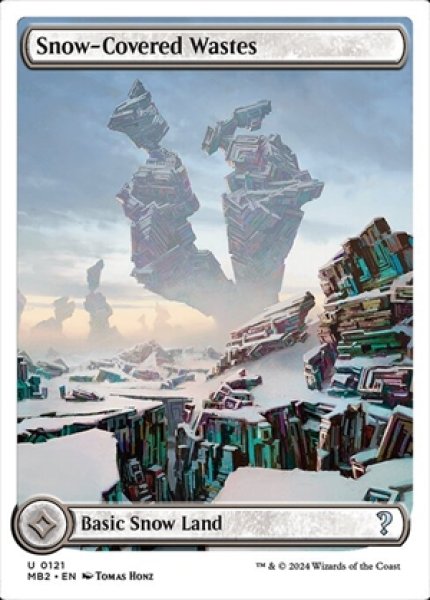 画像1: Snow-Covered Wastes/冠雪の荒地 (1)