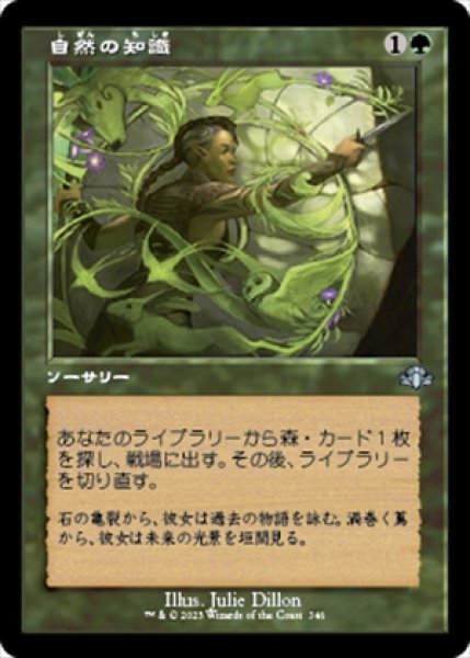 画像1: 《Foil》《旧枠》Nature's Lore/自然の知識《346》 (1)