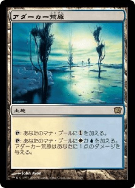 画像1: Adarkar Wastes/アダーカー荒原 (1)