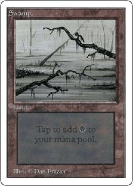 画像1: Swamp/沼《Two Branches》 (1)