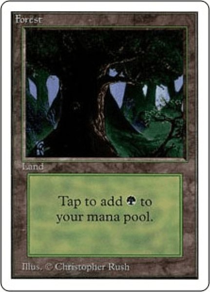 画像1: Forest/森《Dark Tree》 (1)