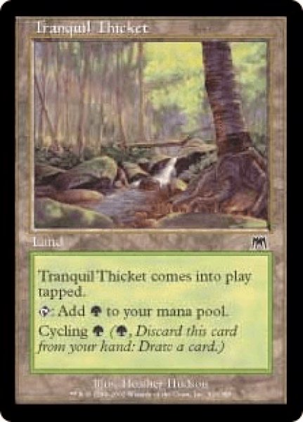 画像1: Tranquil Thicket/平穏な茂み (1)