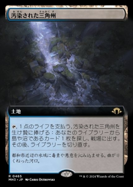 画像1: 《Foil》《拡張アート版》Polluted Delta/汚染された三角州《465》 (1)