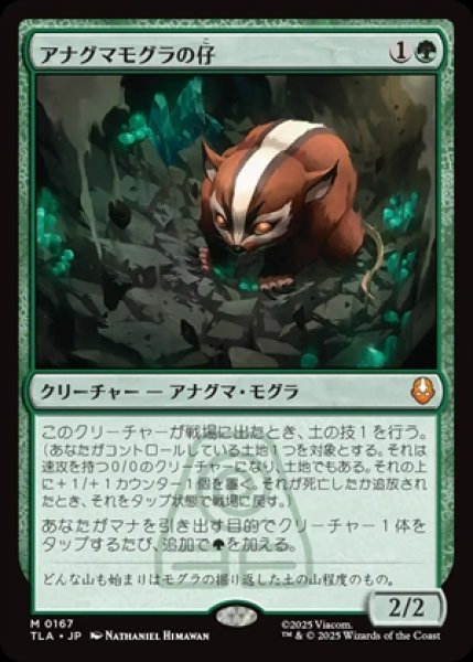 画像1: Badgermole Cub/アナグマモグラの仔《167》 (1)