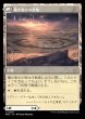 画像2: 《Foil》Witch Enchanter/魔女の結界師《239》 (2)
