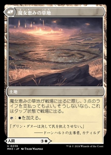 画像2: 《Foil》Witch Enchanter/魔女の結界師《239》 (2)