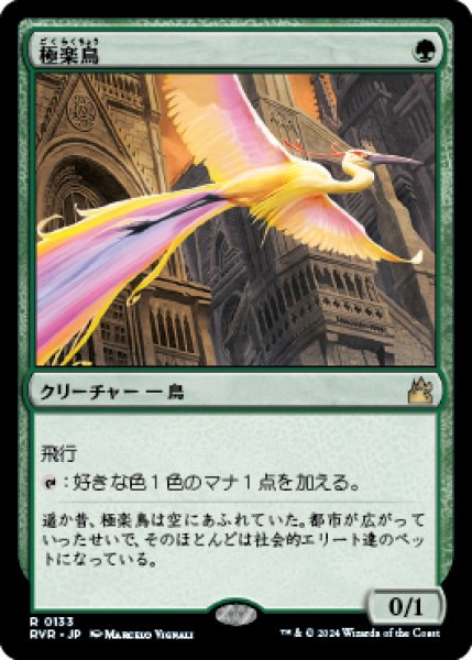画像1: 《Foil》Birds of Paradise/極楽鳥《133》 (1)