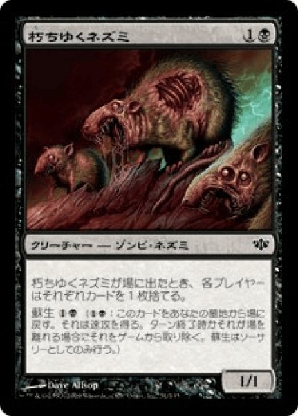 画像1: Rotting Rats/朽ちゆくネズミ (1)