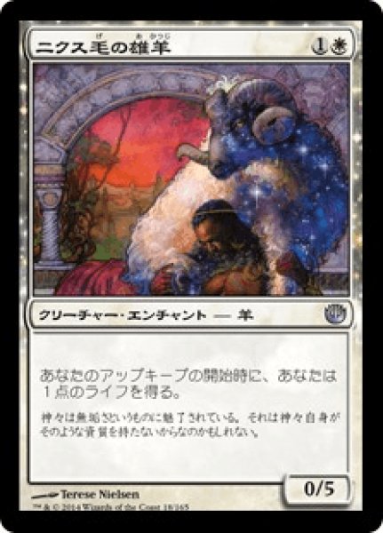 画像1: Nyx-Fleece Ram/ニクス毛の雄羊 (1)