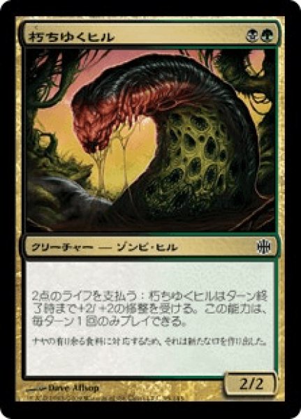 画像1: Putrid Leech/朽ちゆくヒル (1)