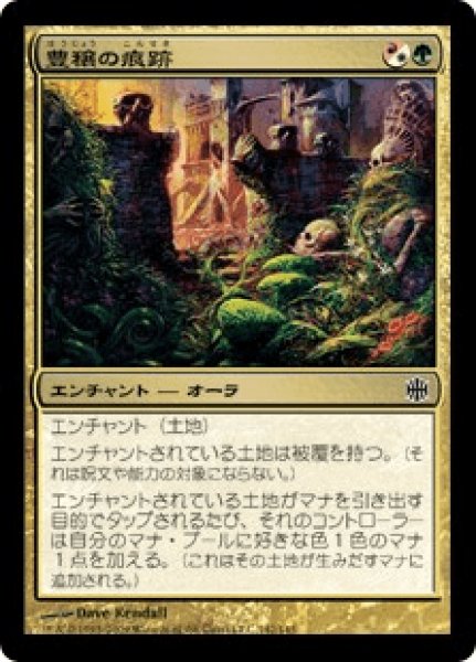 画像1: Trace of Abundance/豊穣の痕跡 (1)