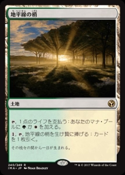画像1: Horizon Canopy/地平線の梢 (1)